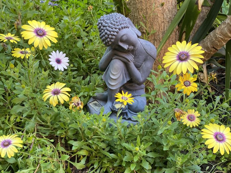 garden-02